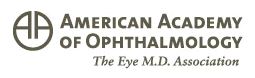 american-academy-of-ophthalmology-raymond-stein